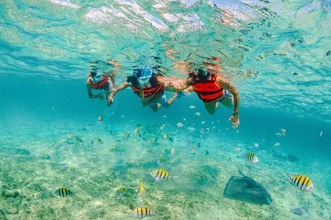 2 Day Combo Tour, Xcaret, Xel-Ha, Xplor and Chichen Itza Option - Should you book this combo tour?