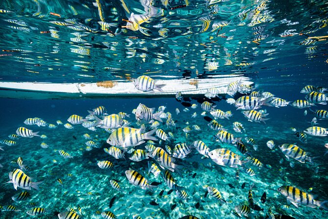 2 in 1 Parasail Cancun and Jet ski - Should you book this parasail and jet ski tour?