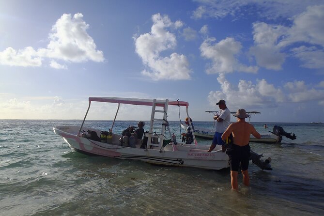 2 Tank Reef Dive in Mexico - Cancun meets Puerto Morelos Reef: why the timing works