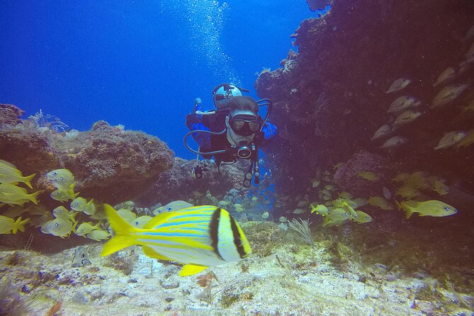 2 Tanks Scuba Diving in Punta Cancun Reefs for Certified Divers - Two Tanks, Two Punta Cancún Reefs: What the 4 Hours Really Feel Like