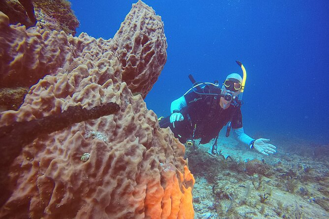 2 Tanks Scuba Diving in Punta Cancun Reefs for Certified Divers - Price and Value: Is $159 a Good Deal for Two Tanks?