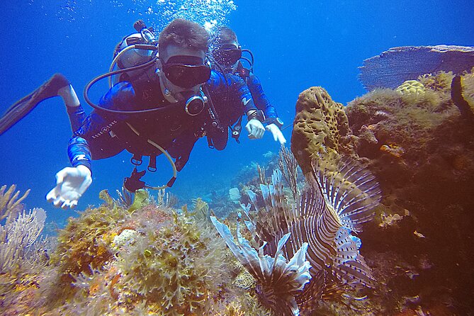 2 Tanks Scuba Diving in Punta Cancun Reefs for Certified Divers - Check-In, Medical Statement, and the Rules for Certified Divers