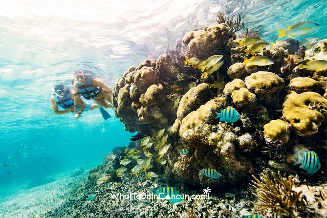3-in-1 Puerto Morelos: Snorkeling, Tequila & Beachside Lunch - Puerto Morelos free time: use it for the village, not the checklist
