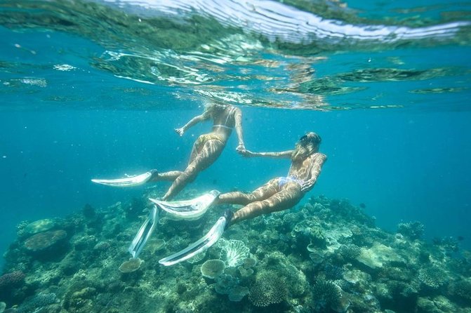 5-in-1 Adventure in Cancun: ATVs, Ziplines, Speed Boat, Snorkel and Cenote Swim - ATV circuit at La Ruta de los Cenotes: the jungle part of the day