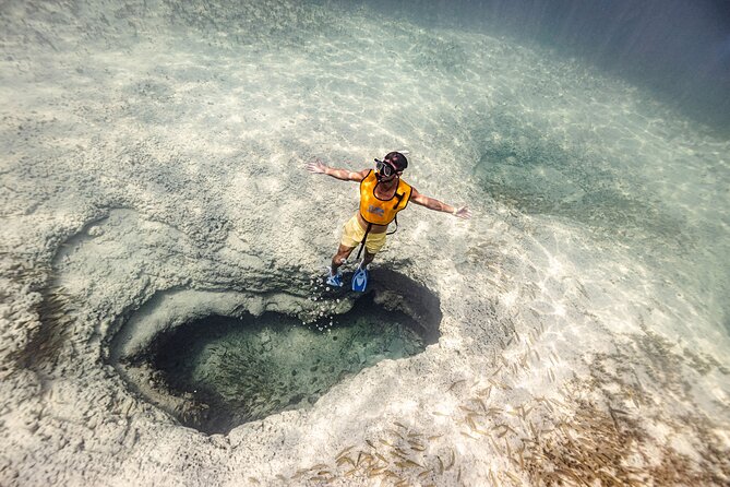 5-in-1 Cancun Snorkeling Tour with Sea Life & Transport Included - Key Highlights You’ll Care About