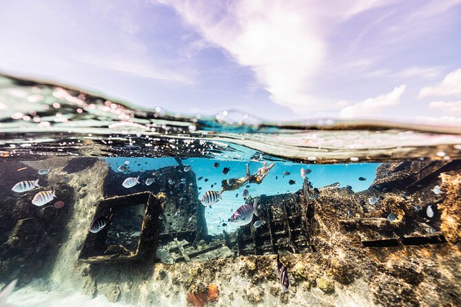 5-in-1 Cancun Snorkeling Tour with Sea Life & Transport Included - Stop 3 Turtle and Ray Chances: What the Odds Really Mean