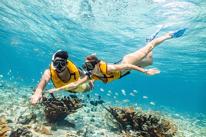 5-in-1 Cancun Snorkeling Tour with Sea Life & Transport Included - Stop 5 Cenote Swim: Finishing in a Natural Underwater Formation