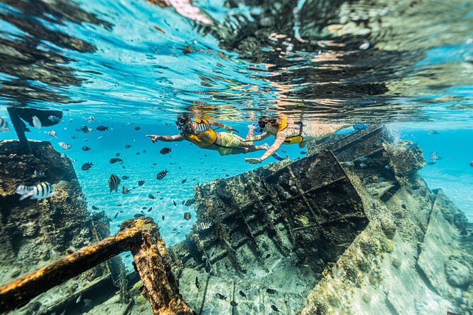 5-in-1 Cancun Snorkeling Tour with Sea Life & Transport Included - Crew, Safety, and the Small-Group Feel
