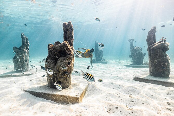 5-in-1 Cancun Snorkeling: Turtles, Reef, Musa, Shipwreck, Cenote - Stop-by-stop snorkeling: reef fish, turtles, MUSA statues, and a shipwreck
