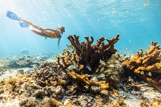 5-in-1 Cancun Snorkeling: Turtles, Reef, Musa, Shipwreck, Cenote - Boat ride and water conditions: what to expect in real life