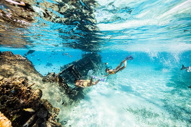 5-in-1 Cancun Snorkeling: Turtles, Reef, Musa, Shipwreck, Cenote - Gear, comfort, and the small things that change your day