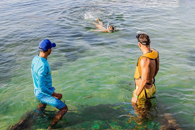 5-in-1 Cancun Snorkeling: Turtles, Reef, Musa, Shipwreck, Cenote - Who should book this tour (and who should skip it)