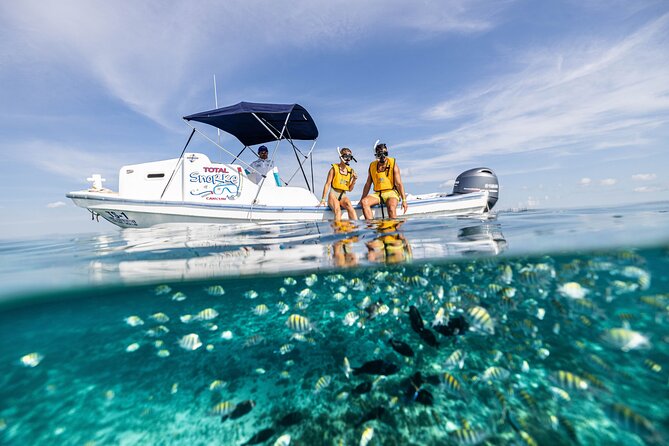5-in-1 Cancun Snorkeling: Turtles, Reef, Musa, Shipwreck, Cenote - Price and value: what $79 buys (and what costs extra)