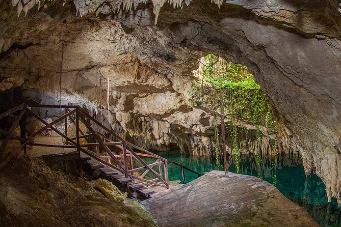 Admission Ticket to Cenotes Zapote EcoPark - Key Things You’ll Notice at Cenotes Zapote