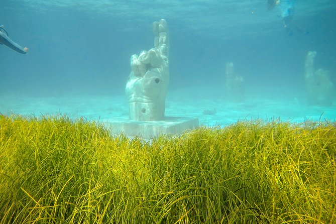 Afternoon Half-Day Catmaran Sailing and Snorkel Adventure - How to Choose This Tour (and Who It Suits Best)