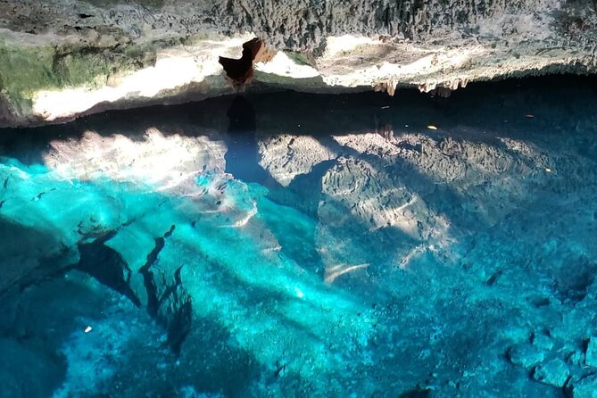 Archaeological Tour in Tulum and Coba with Kuxtal Cenote - Zoologika y Aldea Maya: chocolate history, making chocolate, and lunch in one location