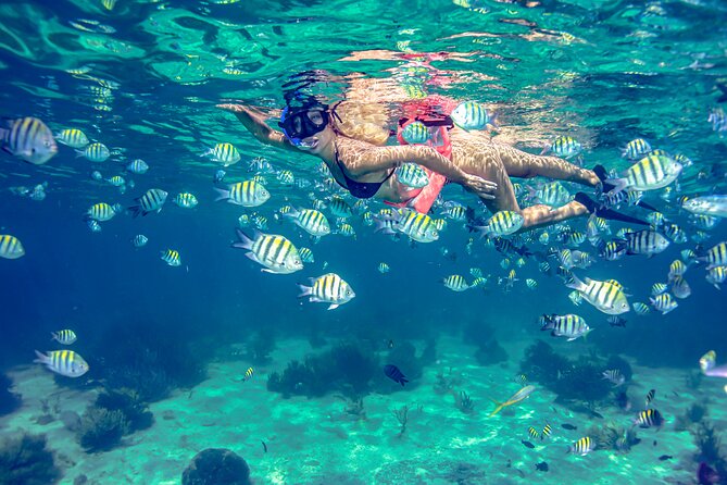Breathtaking experience driving a speedboat in Cancun with Snorkeling included - Safety and boat handling: thrilling, but pay attention to how you board