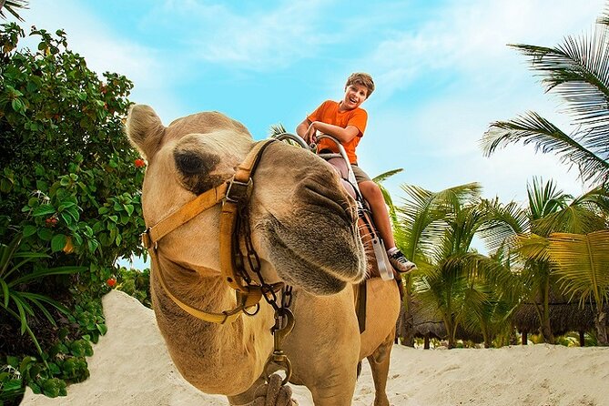 Camel Expedition and Beach Club In Riviera Maya - Who should book (and who should skip)