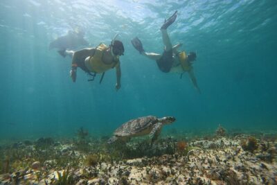 Cancun All Inclusive Catamaran Tour to Isla Mujeres - Onboard vibe and crew energy: why the day can feel either electric or chaotic