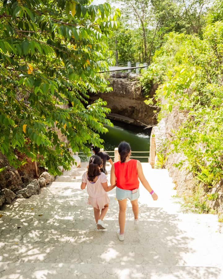 Cancun: Cenotes El Retoño entrance with transportation, lunch, and guided tour. - The final hours: free time, then back to your hotel