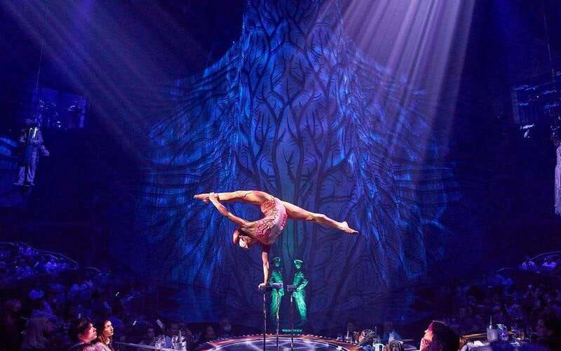 Cancún: Cirque du Soleil JOYÀ Entry Ticket and Transfer - Is $106 per person good value?