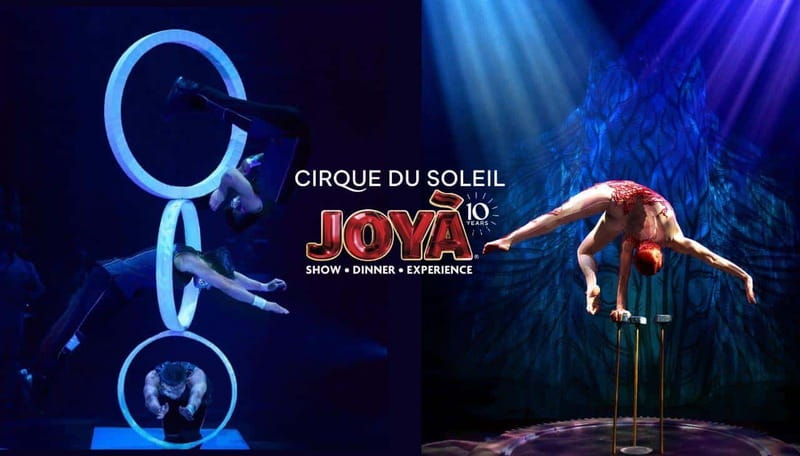 Cancún: Cirque du Soleil JOYÀ Entry Ticket and Transfer - JOYÀ at Vidanta Riviera Maya: why the monarch-butterfly theme works