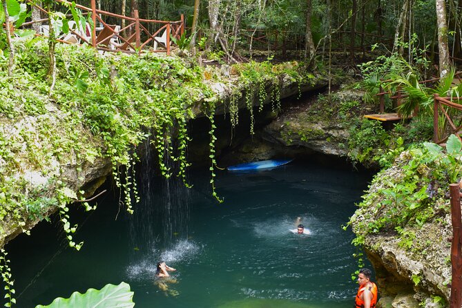 Cancun: Discover the Hidden Treasures: Exploring 3 Jungle Cenotes - Key takeaways before you go