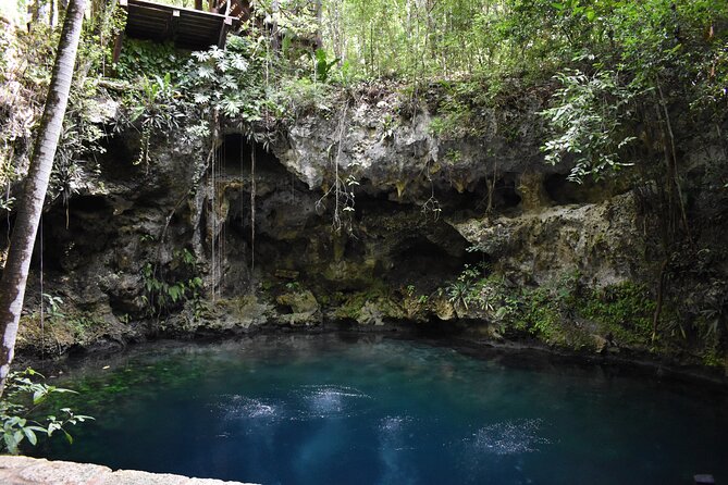 Cancun: Discover the Hidden Treasures: Exploring 3 Jungle Cenotes - Value and the real feel of this Puerto Morelos cenote day