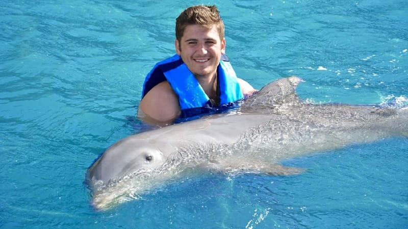 Cancún: Dolphin Encounter on Isla Mujeres with Buffet - Key highlights worth planning for