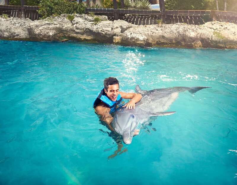 Cancún: Dolphin Encounter on Isla Mujeres with Buffet - Dolphin Encounter on Isla Mujeres: the basics that matter