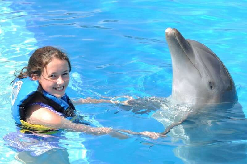 Cancún: Dolphin Encounter on Isla Mujeres with Buffet - At the Dolphin Discovery center: lockers, showers, and a no-camera policy