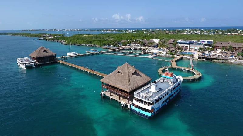 Cancún: Dolphin Encounter on Isla Mujeres with Buffet - The dolphin encounter itself: handshake, hug, and standing on the platform