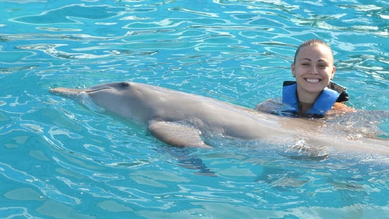 Cancún: Dolphin Encounter on Isla Mujeres with Buffet - Getting to the island: the 9:00 AM ferry from Playa Langosta