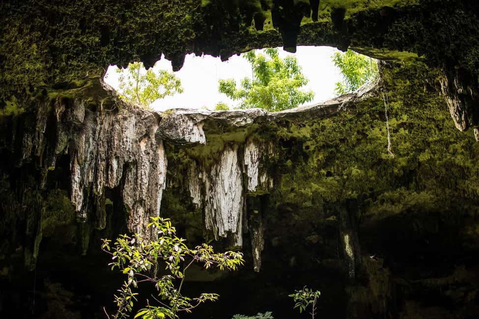 Cancun in its entirety: Chichen Itza ruins, cenote, and Valladolid - Pickup, timing, and comfort: how to make the bus day feel easier