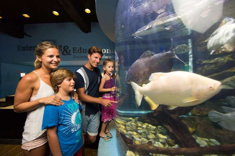 Cancún: Interactive Aquarium Admission - Key Highlights to Pencil Into Your Day