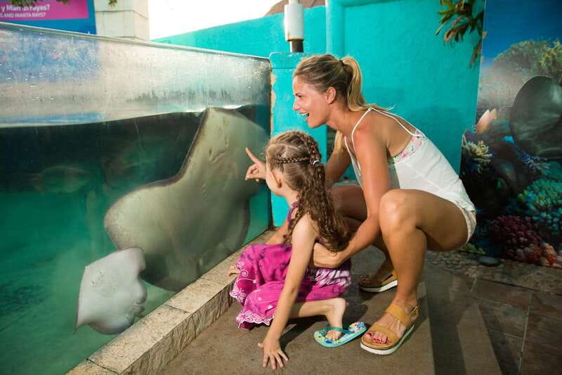 Cancún: Interactive Aquarium Admission - Entering at Plaza La Isla: Easy to Find, Simple to Start