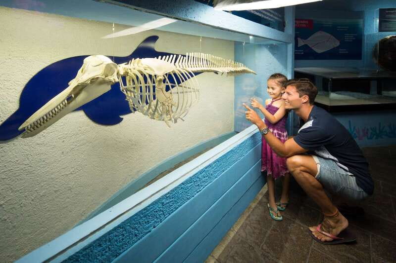 Cancún: Interactive Aquarium Admission - The Touch Tanks: Where the Learning Becomes Real