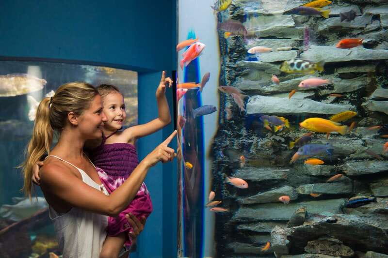 Cancún: Interactive Aquarium Admission - Corals and Anemones: Beyond the Usual Fish Photo