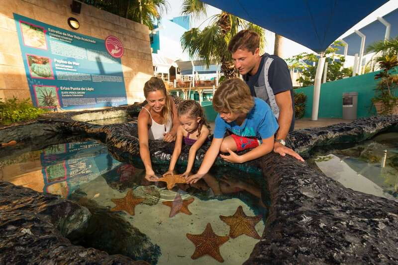 Cancún: Interactive Aquarium Admission - Sea Lions and the General Animal Circuit: Good Variety, Small Footprint