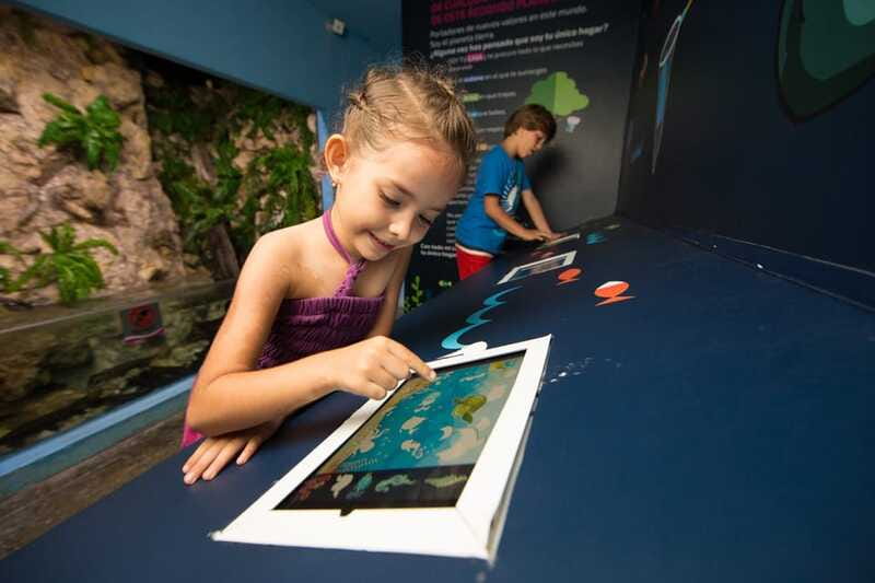 Cancún: Interactive Aquarium Admission - Price and Value: Is $17 a Fair Deal?