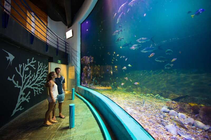 Cancún: Interactive Aquarium Admission - Timing, Tickets, and What to Bring (So You Don’t Waste Minutes)