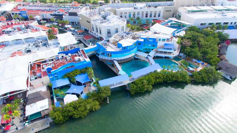 Cancún Interactive Aquarium Admission + Dolphin Presentation - Touch Tanks: The Most Fun Way to Learn (Rules Matter)