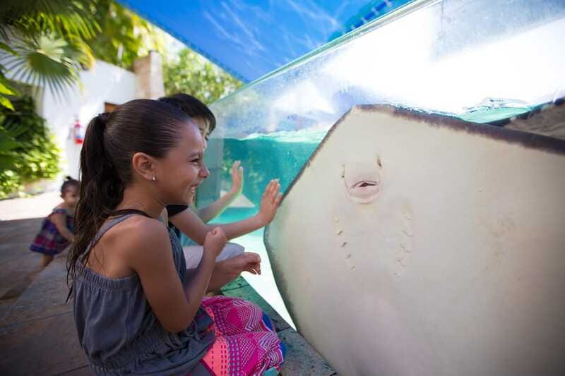 Cancún Interactive Aquarium Admission + Dolphin Presentation - Axolotls and the iPad Zone: Small Extras That Make Time Pass Better