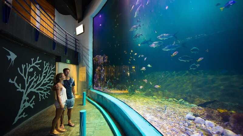 Cancún Interactive Aquarium Admission + Dolphin Presentation - Price Reality Check: Is $26 Good Value?