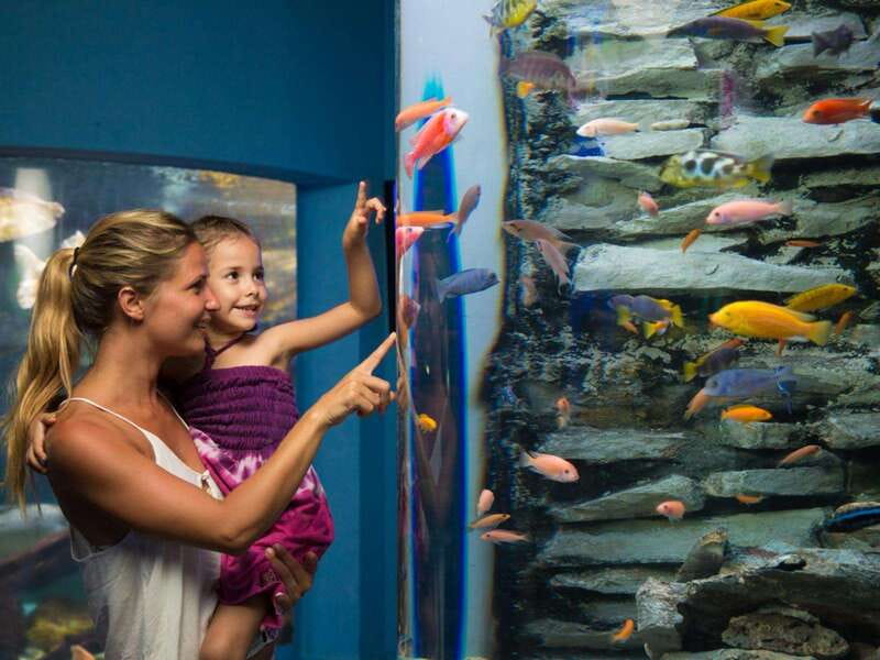 Cancún Interactive Aquarium Admission + Dolphin Presentation - What’s Included vs. What’s Not (So You Don’t Get Surprised)