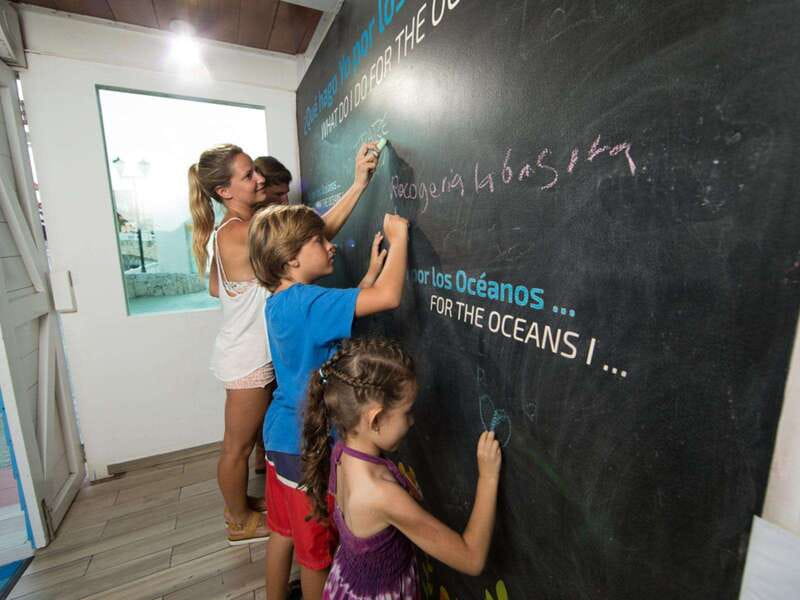 Cancún Interactive Aquarium Admission + Dolphin Presentation - Practical Tips: What to Bring and When to Go