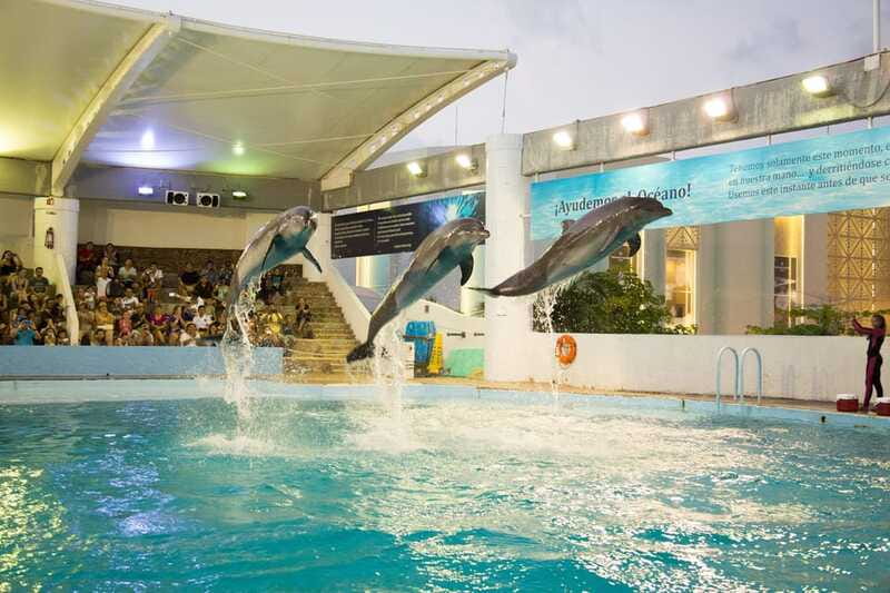 Cancún Interactive Aquarium Admission + Dolphin Presentation - Who This Fits Best