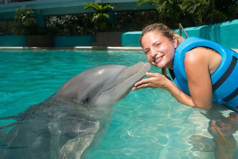 Cancun: Interactive Aquarium - Swim with Dolphins Splash - Where to meet inside Plaza La Isla (and how to plan your arrival)