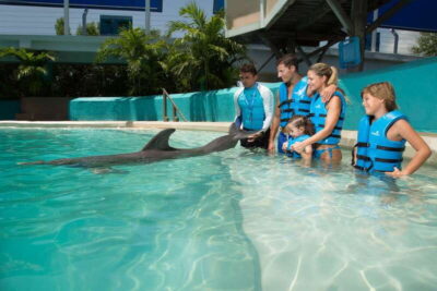 Cancun: Interactive Aquarium - Swim with Dolphins Splash - The 35-minute flow: check-in, briefing, and your 20-minute water window