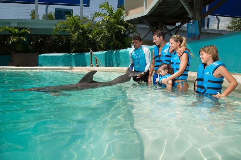 Cancun: Interactive Aquarium - Swim with Dolphins Splash - The 35-minute flow: check-in, briefing, and your 20-minute water window